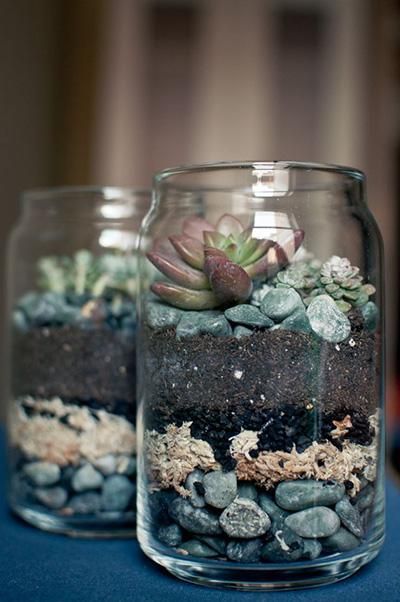 Mason Jar Succulents, Mini Succulent Garden, Succulents In Glass, Plants In Jars, Succulent Display, Succulent Planter Diy, Succulent Garden Indoor, Succulent Garden Design, نباتات منزلية