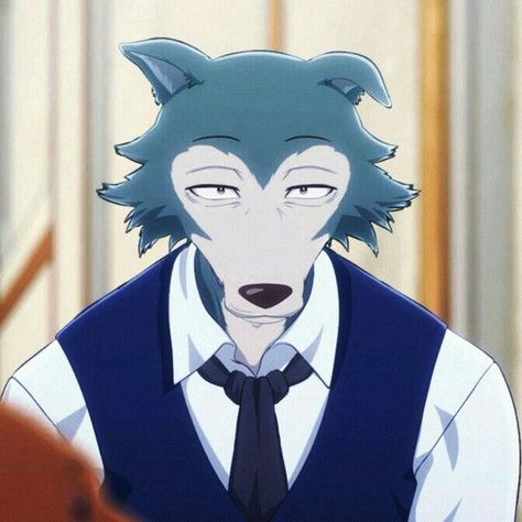 Beast Stars, Beastars Legoshi, Cute Wolf Drawings, Wolf Character, Anime Halloween, Wolf Drawing, Cartoon Memes, Oui Oui, Anime Best Friends