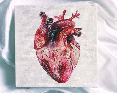 Anatomical Heart Painting, Human Heart Art, Anatomical Heart Drawing, Anatomical Heart Art, Heart Diagram, Heart Artwork, Art Photography Portrait, Human Anatomy Art, Heart Drawing