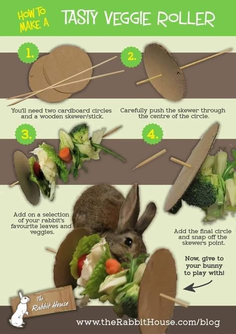 Bunny Enrichment Toys, Bunny Diy Pet Ideas, Diy Bunny Enrichment, Diy Rabbit Enrichment, Bunny Enrichment Ideas, Rabbit Diy Toys, Rabbit Enrichment Ideas, Diy Pour Lapin, Bunny Enrichment