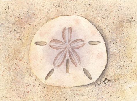 Sand Dollar Watercolor Print Coastal Gift Beach Art Wall Decor Sea Life Art Sand Dollar Art, Art Plage, Sea Life Art, Seashell Painting, Beach House Art, Sand Dollars, Beach Watercolor, Seashell Art, Sea Art