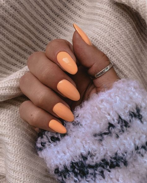 Peach nails Light Orange Nails Almond, Pastel Orange Nails Almond, Peach Orange Nails Acrylic, Light Orange Acrylics, Peach Cream Nails, Light Orange Fall Nails, Creamy Orange Nails, Light Orange Nails Peach, Light Orange Nails Acrylic