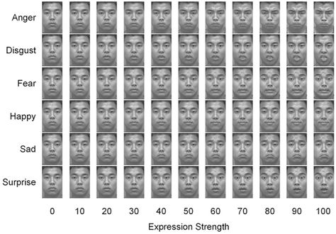 Facial Action Coding System, Word Search Puzzle, Facial, Coding, Key