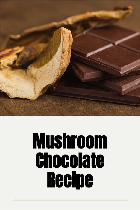 Functional mushroom extracts have a wide variety of benefits, which is why they have become popular in the form of capsules and other products. However, it can be more fun to snack on mushrooms in the form of delicious chocolates! Mushroom Chocolate, Chocolate Bar Recipe, Chocolate Benefits, Fruit And Nut Bars, Chocolate Recipes Easy, Guilt Free Dessert, Chocolate Recipe, Hot Chocolate Mix, Food Categories