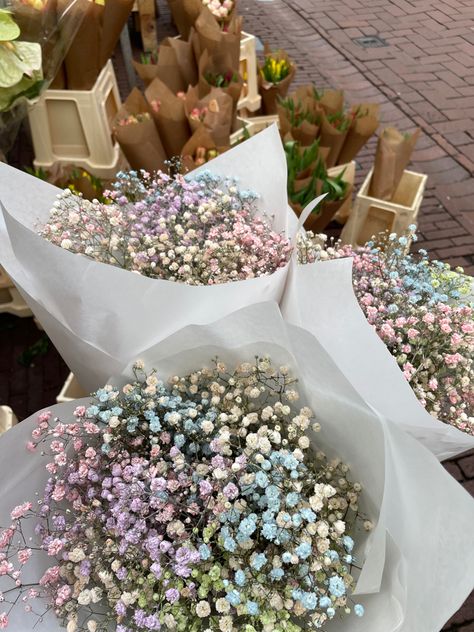 Pastel flowers Pastel Floral Birthday Theme, Beautiful Things Aesthetic, Babys Breath Boquets, Colored Baby Breath, Baby’s Breath Flowers, Colored Babies Breath, Pastel Birthday Party Decorations, Amsterdam Flowers, Flower Activity