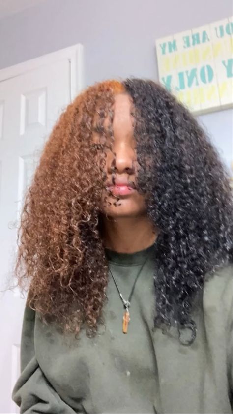 4c Hair Color Ideas Highlights, Dyed Hair For Black Women 4c, 4b Dyed Hair, Hair Dye On Curly Hair, Afro Hair Color Ideas, Afro Dyed Hair, Dyed 4c Natural Hair, Split Dyed Curly Hair, Dyed Afro Hair