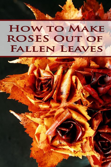 Leaf Roses, Making Roses, Leaves Craft, Craft Nights, Fall Leaf Decor, Autumn Leaves Craft, Leaf Projects, Fall Decor Diy Crafts, How To Make Rose