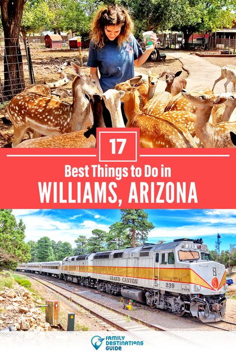 Want to see the most incredible things to do in Williams, AZ? We’re FamilyDestinationsGuide, and we’re here to help: From unique activities to the coolest spots to check out, discover the BEST things to do in Williams, Arizona - so you get memories that last a lifetime! #williams #williamsthingstodo #williamsactivities #williamsplacestogo Things To Do In Williams Arizona, Williams Arizona Things To Do In, Williams Arizona, Arizona Day Trips, Grand Canyon Vacation, Route 66 Trip, Grand Canyon Arizona, Trip To Grand Canyon, Arizona Vacation