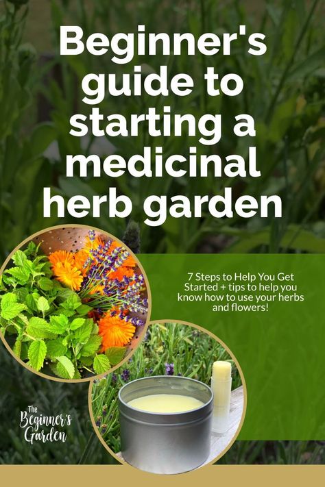 Backyard Raised Beds, Medicinal Herb Garden, Medicine Garden, Medicinal Herbs Garden, Medicinal Garden, Healing Garden, Medicinal Herb, Herb Gardening, Healing Waters