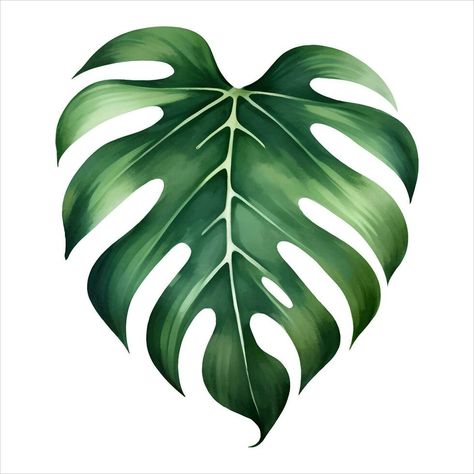 Monstera Leaf Isolated Detailed Hand Drawn Painting Illustration Monstera Leaf Illustration, Monstera Drawn, Monstera Leaf Drawing, Monstera Plant Drawing, Monstera Leaf Painting, Monstera Illustration, Monstera Leaf Art, Leaf Template Printable, Dino Art