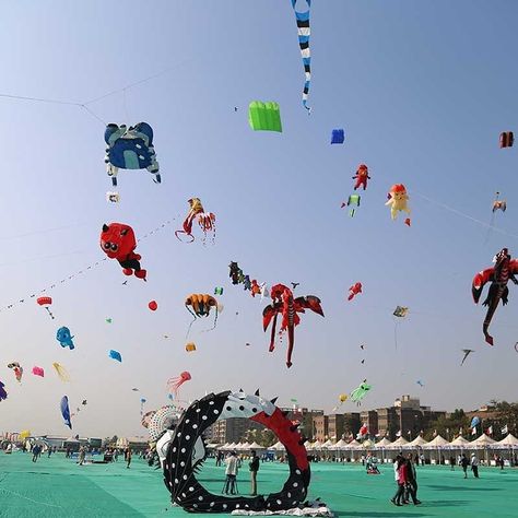 International Kite Festival 2019  There is International Kite Festival happening right now as you are reading this and today is the last… Kite Festival, Right Now, Fair Grounds, Festival, Reading, Travel, Instagram