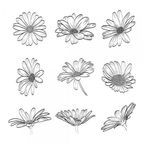 Download this Premium Vector about Daisy Hand Drawn Collection, and discover more than 15 Million Professional Graphic Resources on Freepik Daisy Flower Drawing Simple, Embroidery Flowers Pattern Design, Daisy Line Drawing, Embroidery Flowers Easy, Embroidery Flowers Designs, Easy Embroidery Flowers, Pattern Design Embroidery, Embroidery Flowers Pattern Templates, Embroidery Flowers Tutorial