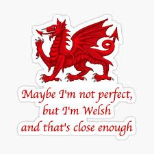 Learn Welsh, The Welsh Dragon, Welsh Dragon, Small Letters, Genealogy, Wales, Sticker Design, Vinyl Sticker, Cross Stitch