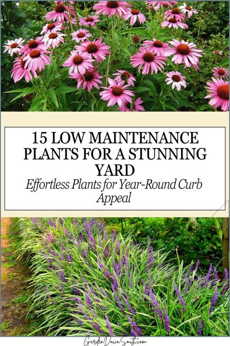 Get a front yard that shines all year with these tough, low-maintenance plants. Perfect for homeowners who want effortless beauty without all the upkeep! Low Maintenance Landscaping Plants, Drought Tolerant Landscape Front Yard, Curb Appeal Garden, Low Maintenance Landscaping Front Yard, Front Yard Plants, Low Maintenance Landscaping, Easy Care Plants, Ground Cover Plants, Low Maintenance Garden