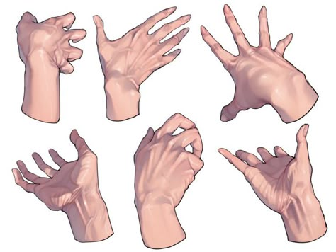 Hand References, Hand Gestures, Hand Drawing Reference, Anatomy Sketches, Hand Reference, Anatomy Poses, Body Anatomy, Digital Painting Tutorials, Anatomy Drawing