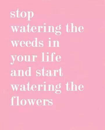 Don't waste time on rubbish. What Do You Want Quotes, Life Quotes Love, Flowers Bloom, Wonderful Words, Quotable Quotes, The Flowers, Good Thoughts, The Words, Great Quotes