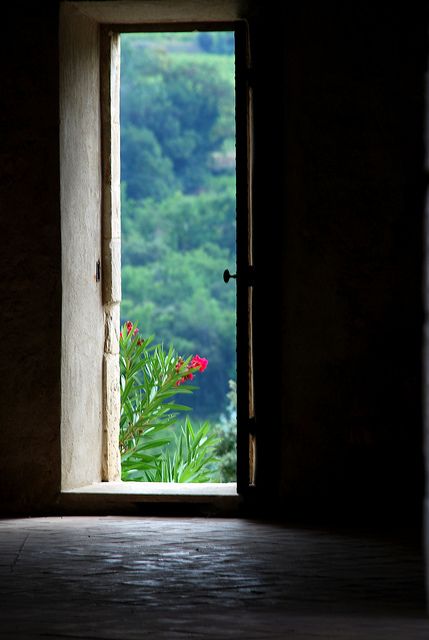 wish this was the view out of my front door... Wow Photo, Open Door, Photo Background Images, Window View, Open Window, Through The Window, Beautiful Doors, Closed Doors, Jolie Photo