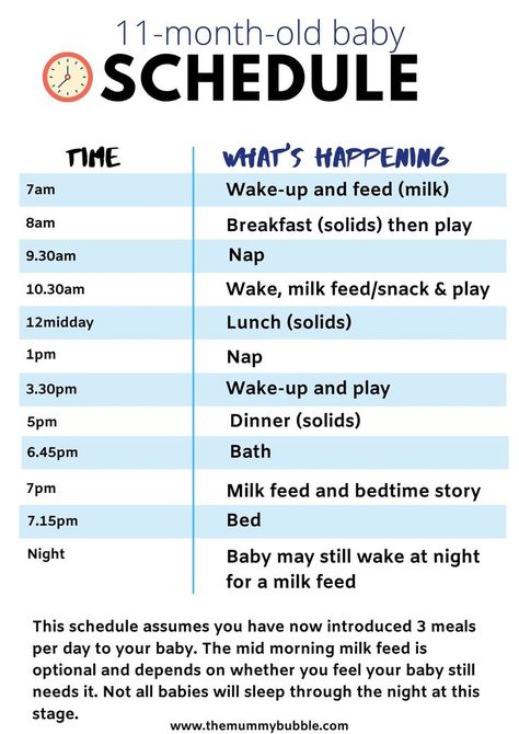 A sample daily routine for your 11 month old baby. Click the pin for meal ideas for your baby at 11 months plus how much milk and portion sizes at this age. 11 Month Old Schedule, Baby Eating Schedule, Baby Food Schedule, 11 Month Old Baby, 8 Month Baby, 7 Month Old Baby, 9 Month Old Baby, Baby Routine, Baby Feeding Schedule