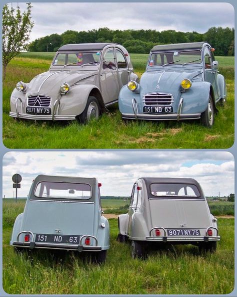 2cv Classic European Cars, Citroen Car, Retro Caravan, French Cars, Citroen Ds, European Cars, Classic Cars Vintage, Small Cars, Car Lover