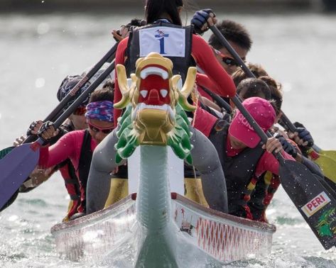 Competitive vs. All-Inclusive: Which Approach is Best for a Smaller Team? - Paddlechica Dragon Boating, Dragon Boating Racing, Personal Progress, Rowing Machines, Muscle Memory, Rowing Machine, Dragon Boat, Paddles, Rowing