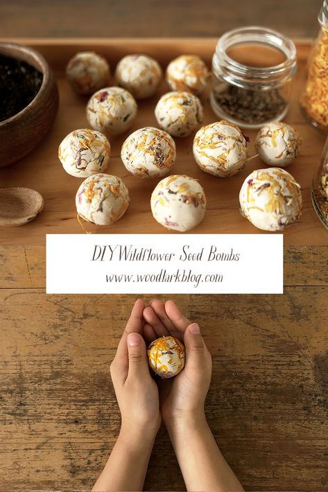 Diy Seed Balls, Diy Seed Pops, Wildflower Seed Balls, Seed Bombshell, Wildflower Gift Ideas, Seed Balls Diy, Seed Bomb Printable, Seed Bomb Directions Printable, How To Make Seed Paper