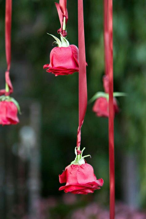 Love these rose streamers. A great way to incorporate roses into Valentine's Day party decorations. Pink Engagement, Housewarming Decorations, Pink Engagement Ring, Diy Diwali Decorations, Desi Wedding Decor, Wedding Design Decoration, Spring Wedding Colors, Wedding Stage Decorations, Beltane