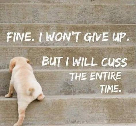 fine. I won't give up, but I will cuss the entire time. Ge Aldrig Upp, I Wont Give Up, Humor Memes, Bones Funny, Great Quotes, A Dog, Wise Words, Favorite Quotes, Martial Arts