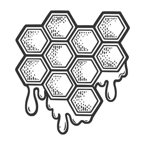 Bee and honeycombs engraving style Royalty Free Vector Image Honeycomb Sketch, Honeycomb Outline, Honeycomb Drawing, Honeycombs Drawings, Honeycomb Tattoo, Honey Bee Theme, Eyeball Tattoo, Tattoo Sleeve Filler, Bee Drawing