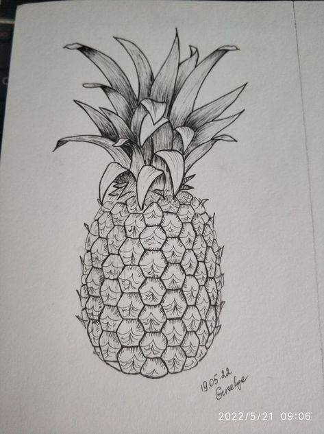 Pineapple Art Drawing, Pineapple Drawing Realistic, Pinapple Drawings Pencil, How To Draw A Pineapple, Pineapple Drawings, Draw Pineapple, Fruit Sketches, Camera Drawing Art, Drawing Pineapple