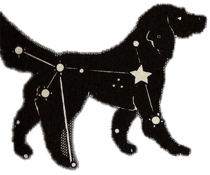 Sirius Constellation, Pair Halloween Costumes, Collage Elements, Larry Shippers, Zine Design, Scrapbook Book, Constellation Tattoos, Black Stickers, Dog Jewelry