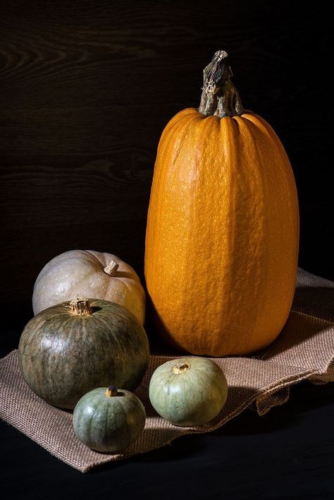 Pumpkin Reference Photo, Vegetables Reference, Pumpkin Reference, Vegetable Photos, Fruit Photos, Pumpkin Photography, Pumpkin Food, Rotten Fruit, Still Life Pictures