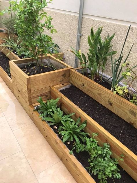 Pallet Projects Garden, Small Vegetable Gardens, Veg Garden, Home Vegetable Garden, Outdoor Gardens Design, Garden Yard Ideas, Vegetable Garden Design, Garden Designs, Small Garden Design