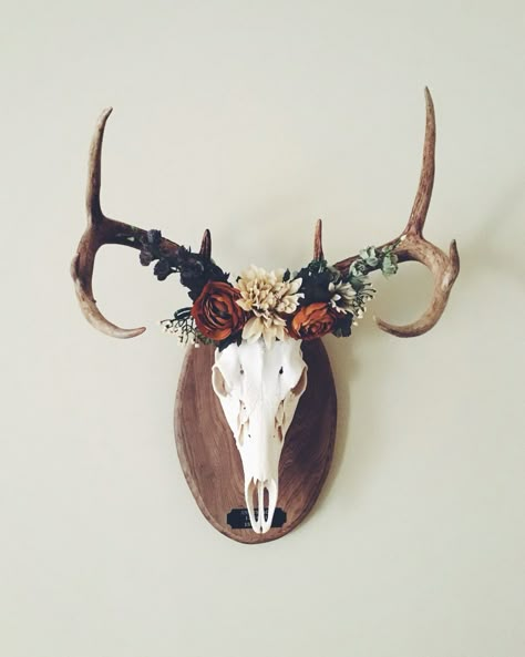 Deer crown ✨ European mount Hirsch Silhouette, Deer Skull Art, Antler Ideas, European Mount, Antler Crafts, Deer Mounts, Antler Art, French Style Homes, Deer Decor