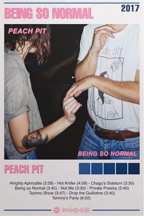 Peach Pit Aesthetic, The Poughkeepsie Tapes Poster, Dominic Fike Polaroid Poster, Peach Pit Poster, What Could Possibly Go Wrong Dominic Fike Poster, Peach Pit Poster Vintage, Music Posters Phoebe Bridgers, College Wall Decor, College Poster