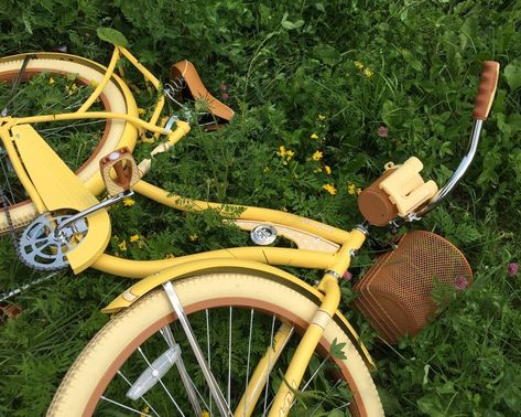 Bicycle Aesthetic, Yellow Bicycle, Cottagecore Home Decor, All The Bright Places, Bike Aesthetic, Healthy Dog Treat Recipes, Cottagecore Aesthetic, Dog Treat Recipes, Yellow Aesthetic