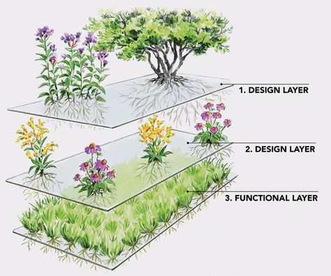 Plants for a Layered-Style Garden - FineGardening Plant Layering Ideas, Layering Plants For Landscaping, Plant Layering, Layered Planting, Structural Plants, Planting Design Plan, Naturalistic Landscape, Naturalistic Planting, Garden Layers