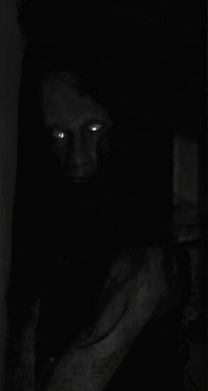 Most Scary Picture, Shadow Horror, Horror Pic, Scary Picture, Creepy Pics, Scary Clips, Scary People, Night Terrors, Scary Photos