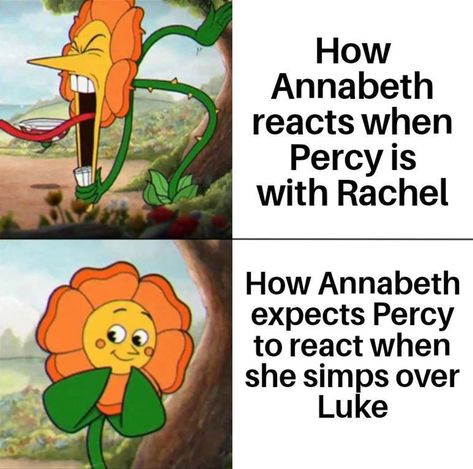 Pjo Memes Hilarious Funny, Percy Jackson Reaction Pics, Percy Jackson Olympians, Percy Jackson Funny Memes Hilarious, Pjo Memes Hilarious, Percy Jackson Meme Funny, Percy Jackson Fan Art Funny, Pjo Memes Funny, Percy Jackson Jokes