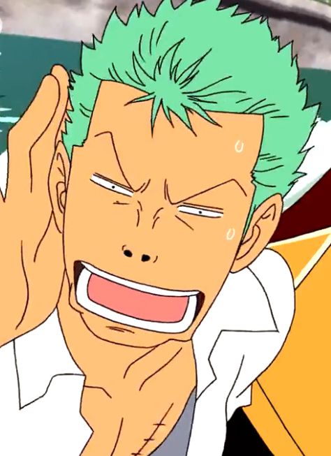 Zoro Photo, Friend Anime, One Piece Luffy, Anime Screenshots, Roronoa Zoro, One Piece Anime, Rwby, Community Wall, Wall Photos