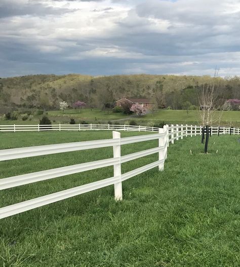 Improve Your Horse Farm Horse Weight, Pasture Fencing, Salt Lick, Fly Spray, Run In Shed, Water Trough, Horse Fly, Electric Fence, Horse Farm