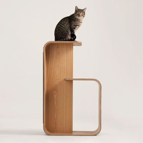 10 Modern Cat Trees That Will Look Fab in Your Home - Dwell Cat Playroom, Modern Cat Tower, Cat Tree Plans, Unique Cat Trees, Wooden Cat Tree, Ash And Misty, Cool Cat Trees, Modern Cat Furniture, Modern Cat Tree