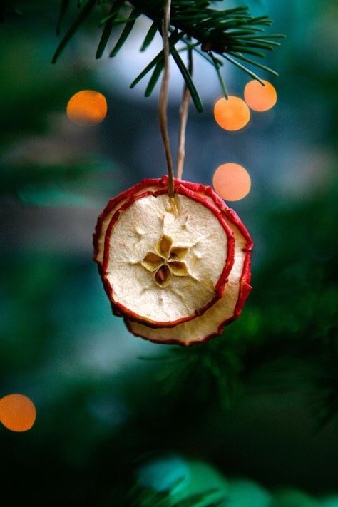 Apple Ornaments, Natal Natural, Yule Traditions, Yule Crafts, Apple Christmas, Diy Tree Decor, Natural Christmas Decor, Sustainable Christmas, Apple Decorations