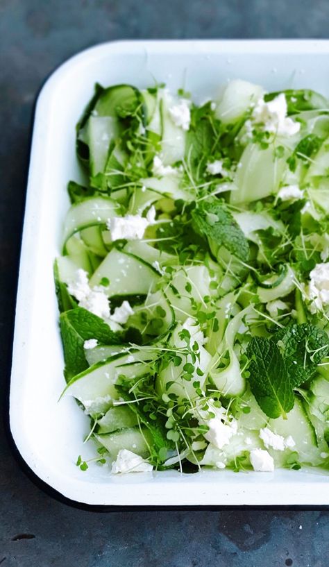 Refreshing Salad with Cucumber, Feta, Mint & Arugula Microgreens Microgreen Salad, Salad With Cucumber, Sustainable Food Systems, Small Potato, Refreshing Salad, Food System, Sustainable Food, Mint Leaves, Vegetarian Cheese