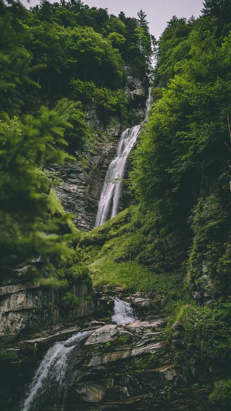 Water, river, nature and outdoors | HD photo by Constantin Potorac (@constantinpotorac) on Unsplash Wallpaper For Nature, Attractive Wallpapers, Waterfall Wallpaper, Short Plants, Water Nature, Dreamy Landscapes, Royal Garden, Waterfall Photography, Landscape Photography Nature