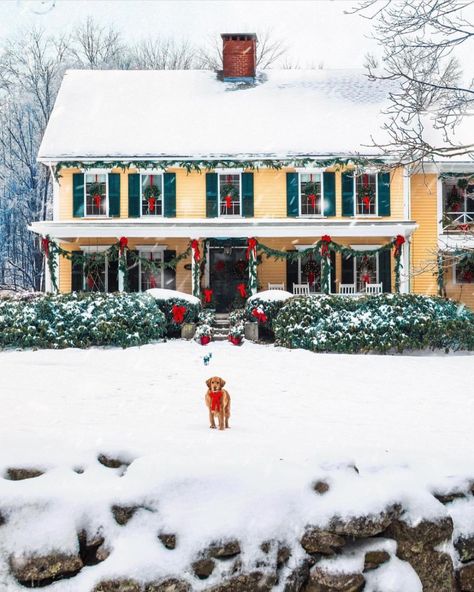 Kiel James Patrick (@kjp) • Instagram photos and videos Kjp House, Kjp Christmas, Christmas Exterior, Sarah Patrick, House Christmas Decor, Lego Christmas Village, Farmhouse Shop, Outdoor House, Yellow House