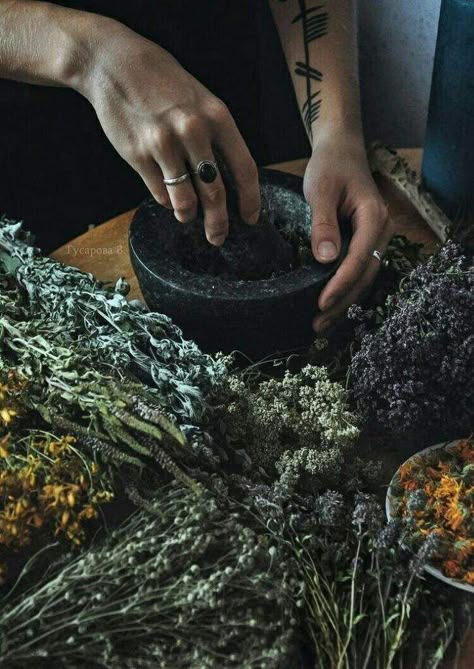 The Mortar and Pestle | Pagans & Witches Amino Magia Das Ervas, Yennefer Of Vengerberg, Green Fairy, Wicked Witch, Witch Aesthetic, Practical Magic, Kitchen Witch, Healing Herbs, Green Witch