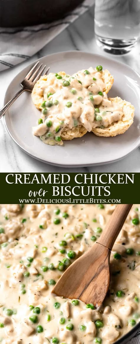 Creamed Chicken Over Biscuits, Chicken Over Biscuits, Chicken Gravy And Biscuits, Creamed Chicken, Homemade Chicken Gravy, Cream Chicken Recipes, Gravy And Biscuits, Chicken Gravy Recipe, Thanksgiving Leftover Recipes