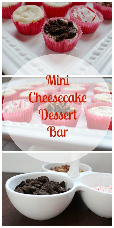 Mini Cheesecake Dessert Bar Cheesecake Dessert Bar, Individual Christmas Desserts, Cheesecake Bar, Super Bowl Recipes, Mini Cheesecake Recipes, Cheesecake Cups, Cheesecake Dessert, Bowl Recipes, Cheesecake Desserts