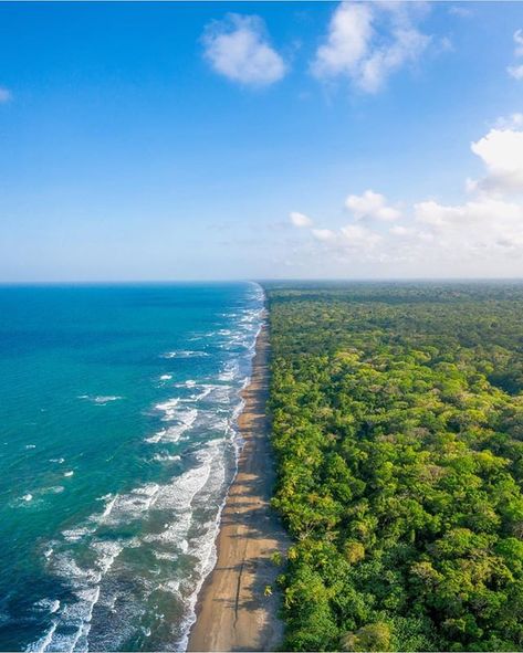 Where the kingdom of the sea turtle meets the kingdom of the jaguar.   #Tortuguero National Park via @kennethfromcostarica ! . #CostaRicaExperts #CostaRica #puravida #travelcostarica #crfanphotos #costaricaphoto #costaricagram #costaricapuravida #visitcostarica Costa Rica Sea Turtles, Costa Rica Beaches, Montezuma, Visit Costa Rica, Costa Rica Vacation, Monteverde, Costa Rica Travel, Sea Turtle, Costa Rica