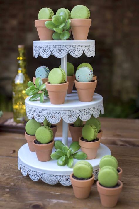 Kara's Party Ideas Rustic Garden Birthday Party | Kara's Party Ideas Desert Party, Succulent Theme, Garden Birthday Party, Plant Party, Cactus Party, Fiesta Tropical, Pudding Cups, Garden Party Birthday, Fiesta Theme